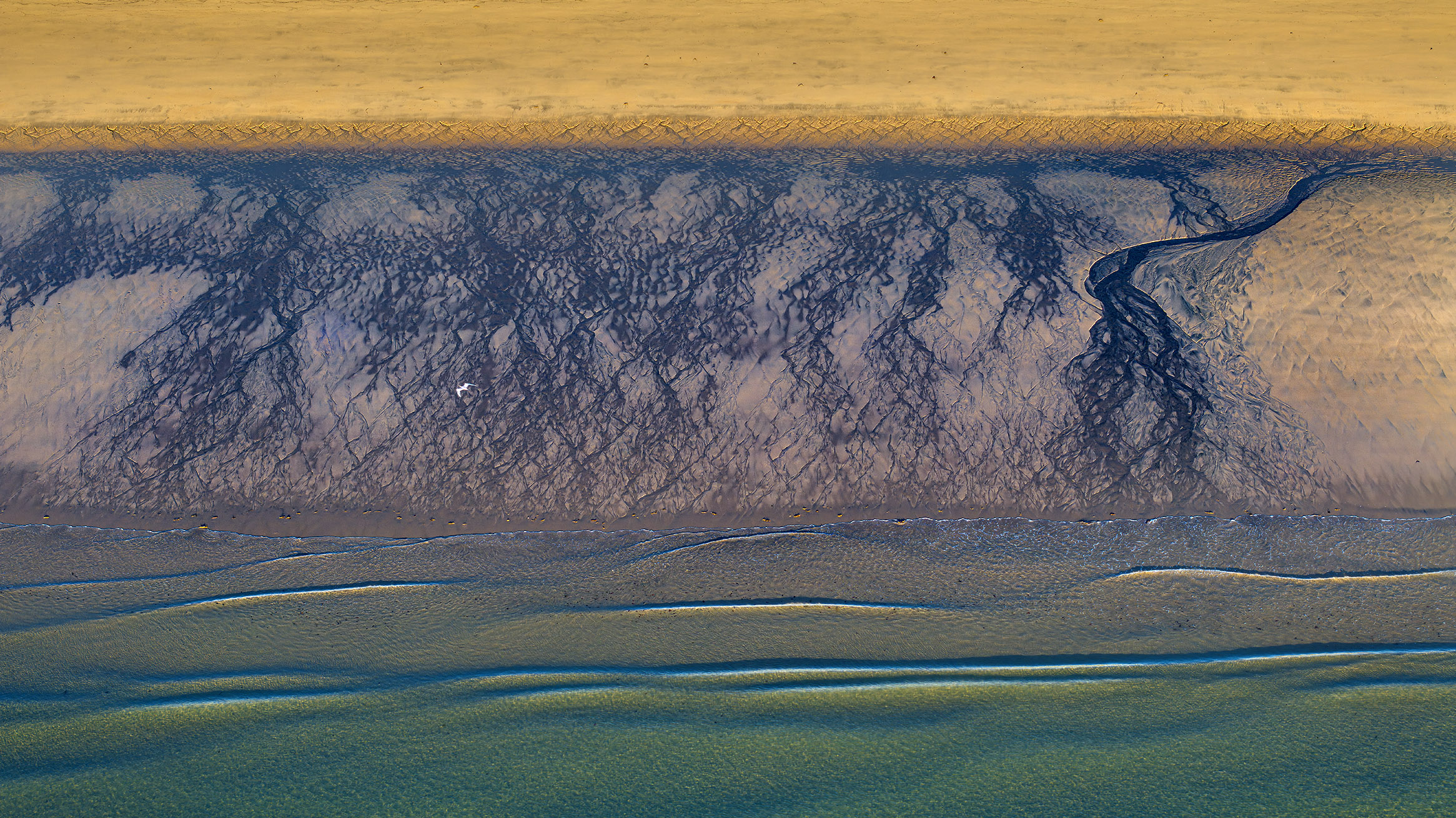 Lamberts Beach Whale Watch